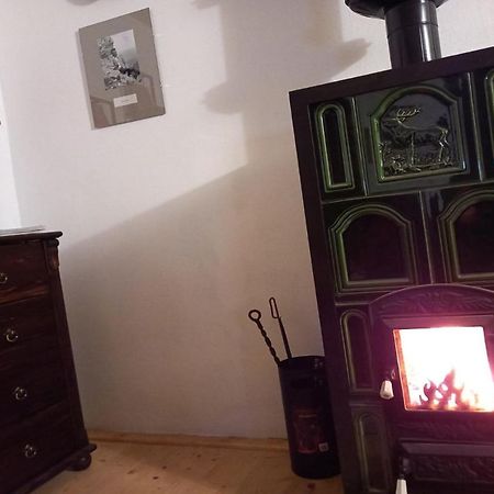 Maison d'hôtes Galeria Turismului Montan à Cîrţişoara Extérieur photo