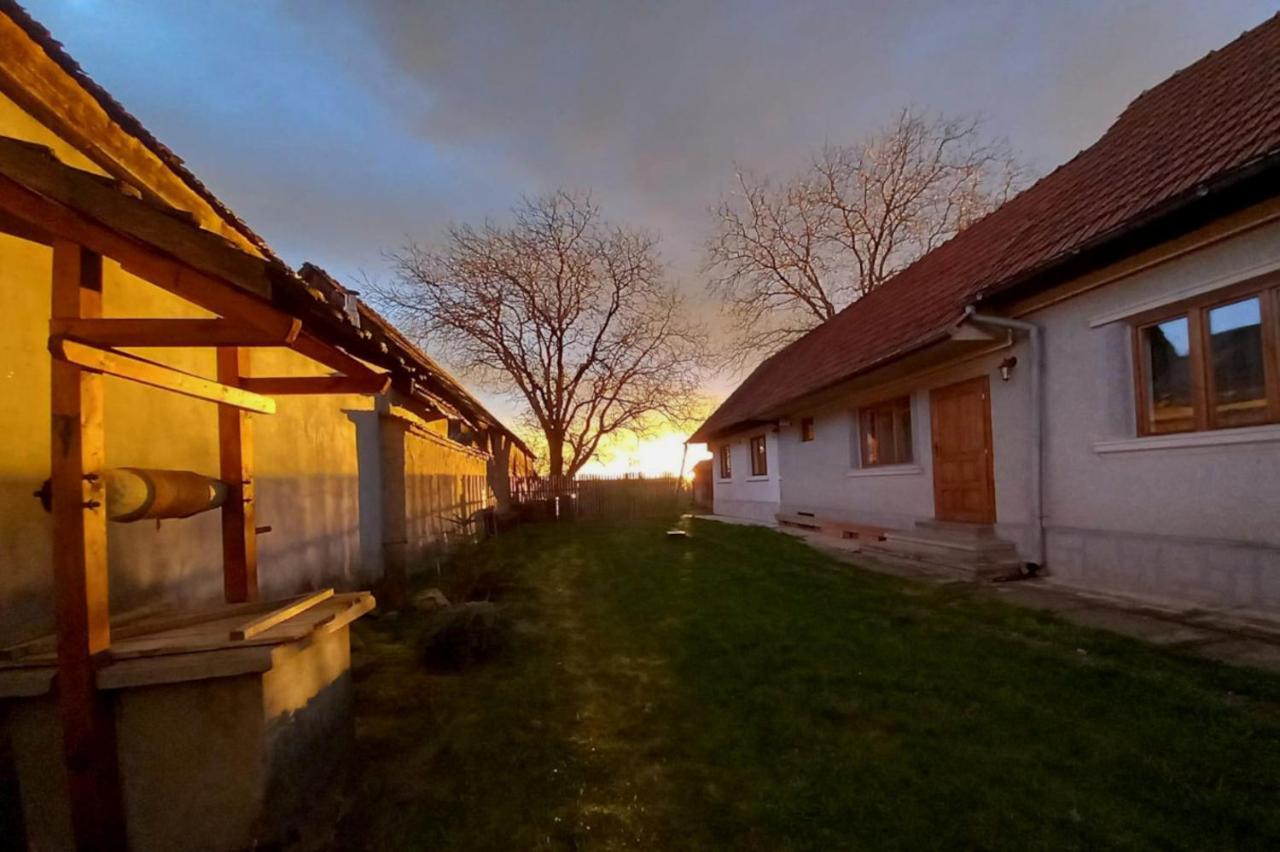 Maison d'hôtes Galeria Turismului Montan à Cîrţişoara Extérieur photo