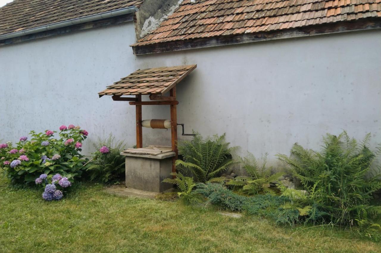 Maison d'hôtes Galeria Turismului Montan à Cîrţişoara Extérieur photo