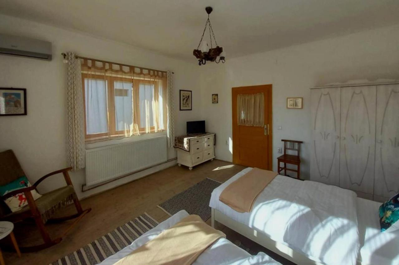 Maison d'hôtes Galeria Turismului Montan à Cîrţişoara Extérieur photo